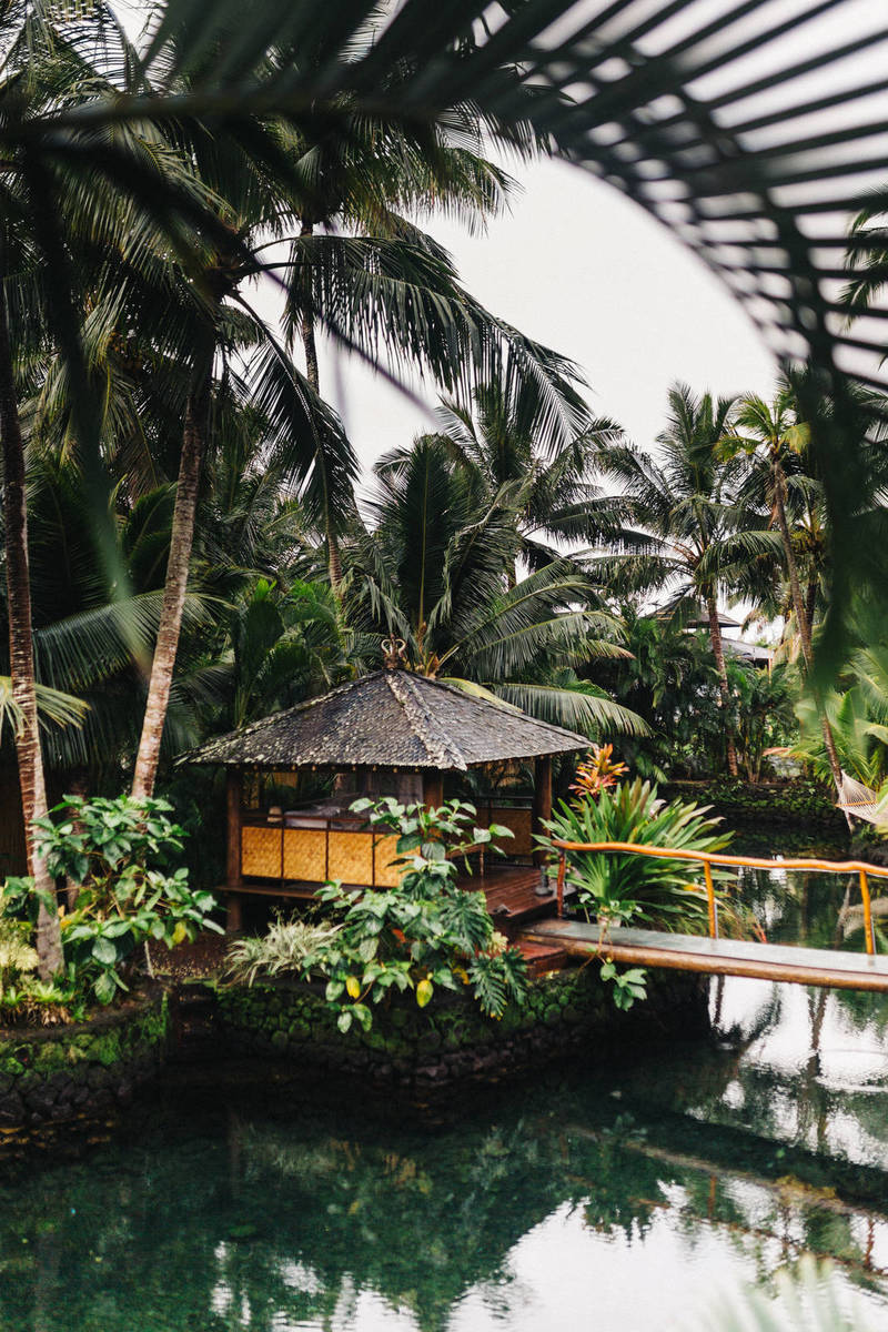 Small Reserve Unit with Huge Mission Returns Home Safely, Reunited with Family